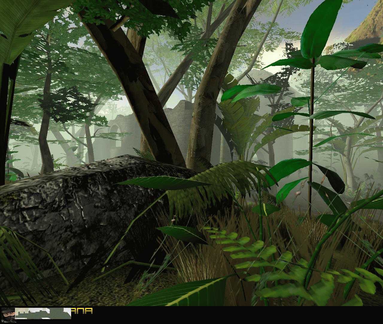 Перу природа амазонка. Сельва юкатана. De jungle. De jungle. De jungle.